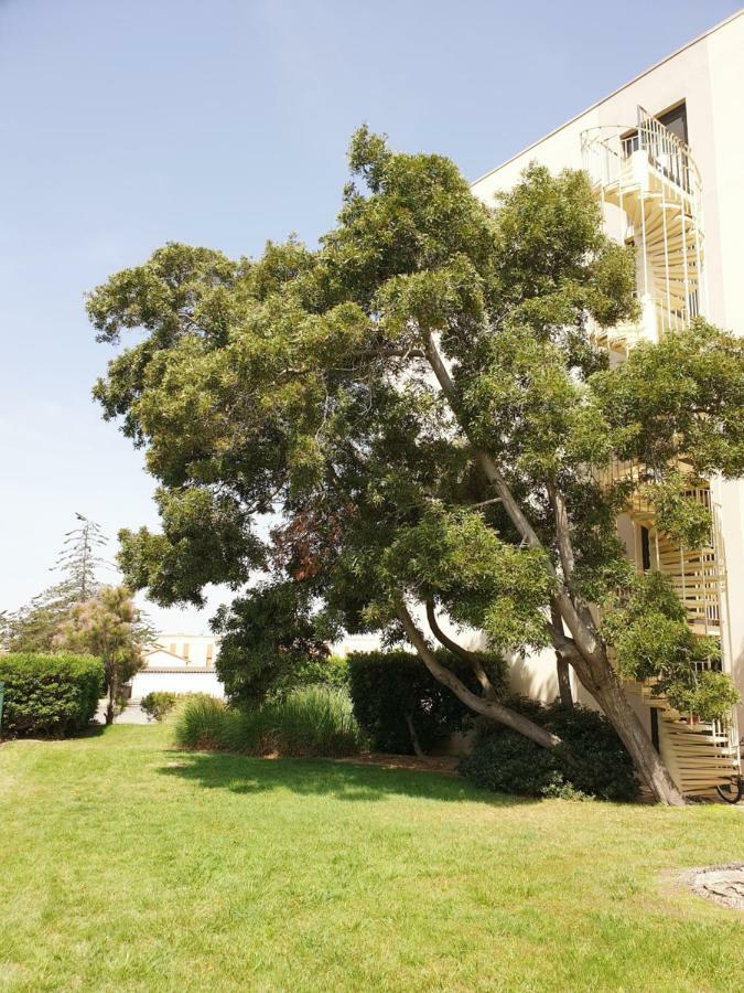Studio Moderne Avec Parking Et Piscine- 313 كانيه المظهر الخارجي الصورة